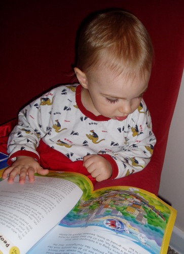 lan-reading lan-reading