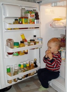 l-fridge