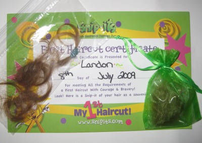 L hair 9 L hair 9