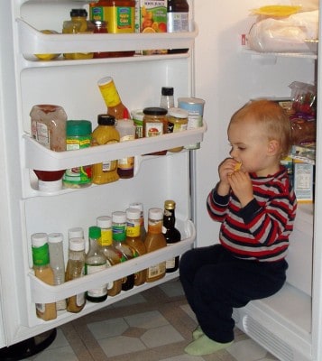 L fridge2