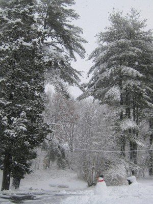 snowman and trees