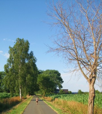 boy and tree-lined country street