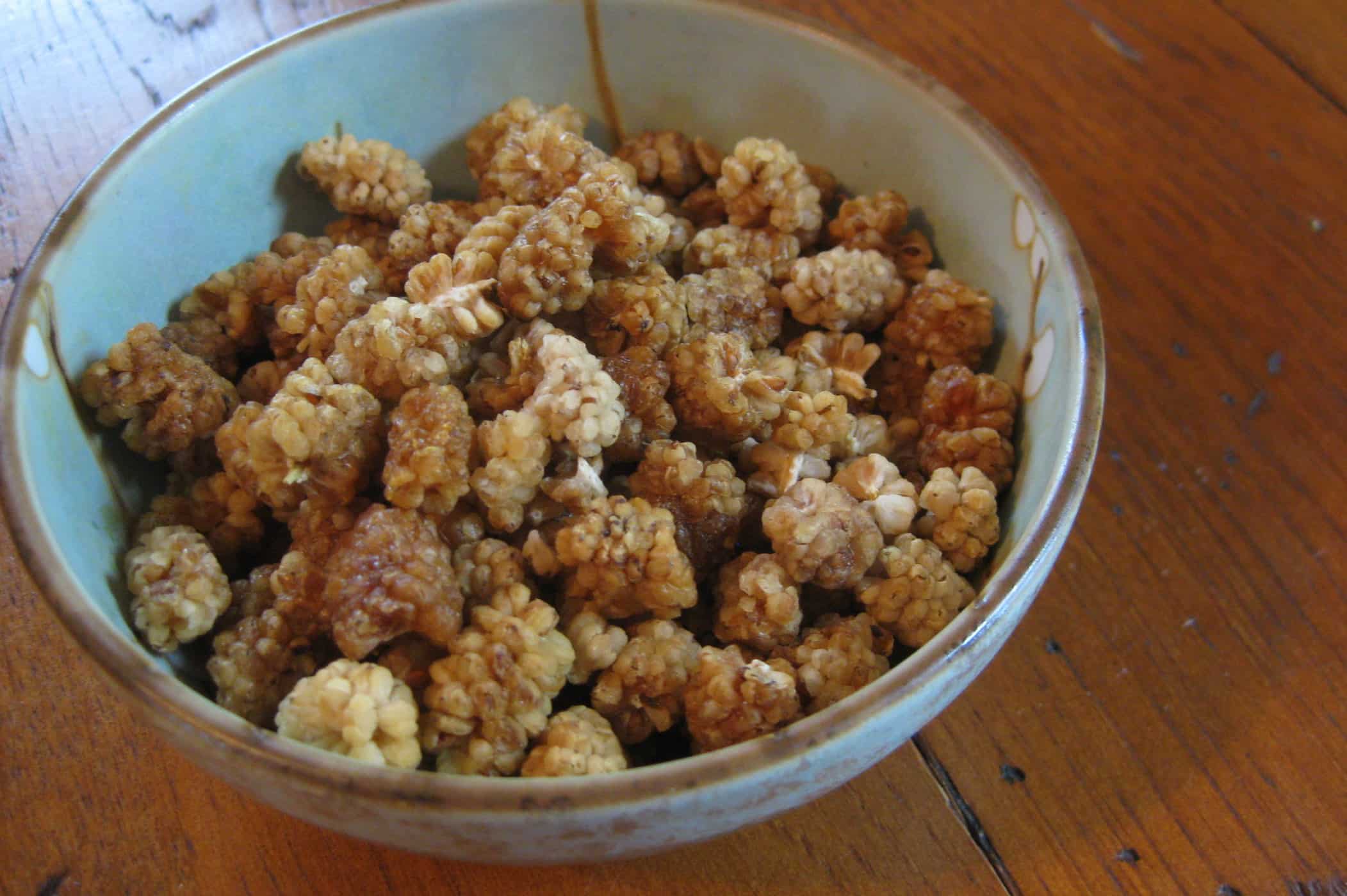 my-new-favorite-superfood-snack-dried-organic-mulberries