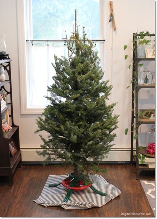 How to Make a Christmas Tree Look Fuller and Taller on a Budget